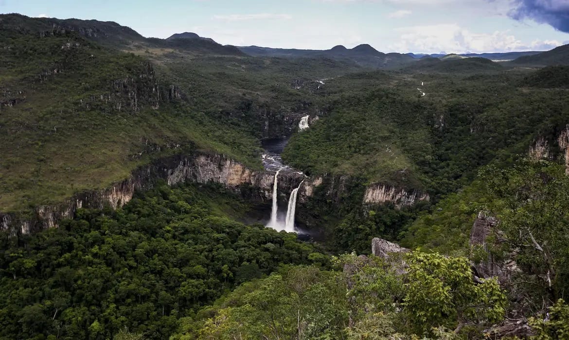 Agro e ecologia andam de mãos dadas na Chapada dos Veadeiros, em Goiás