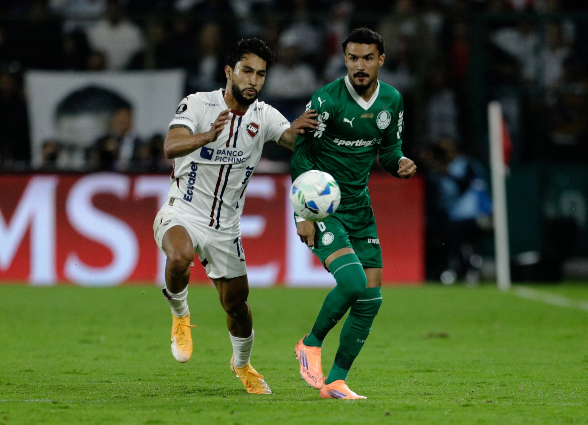 Palmeiras x LDU: prováveis escalações para a decisão na Libertadores