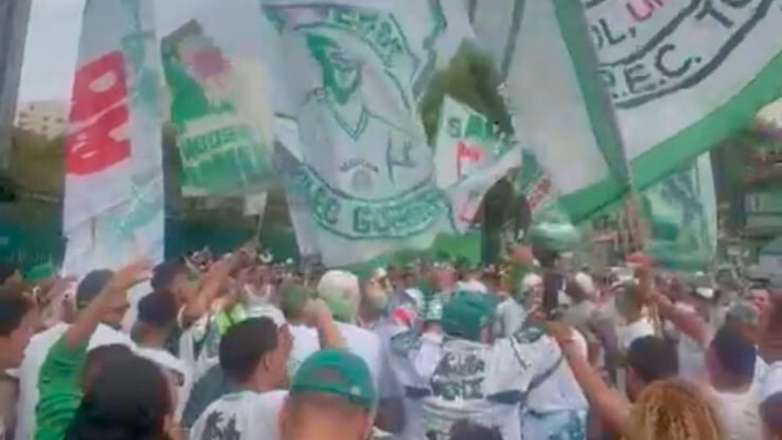 Torcida do Palmeiras vai ao Allianz apoiar o time antes de decisão contra a LDU