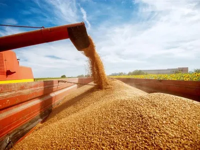 Plano Collor Rural: audiência no STF abre prazo para acordo após 32 anos