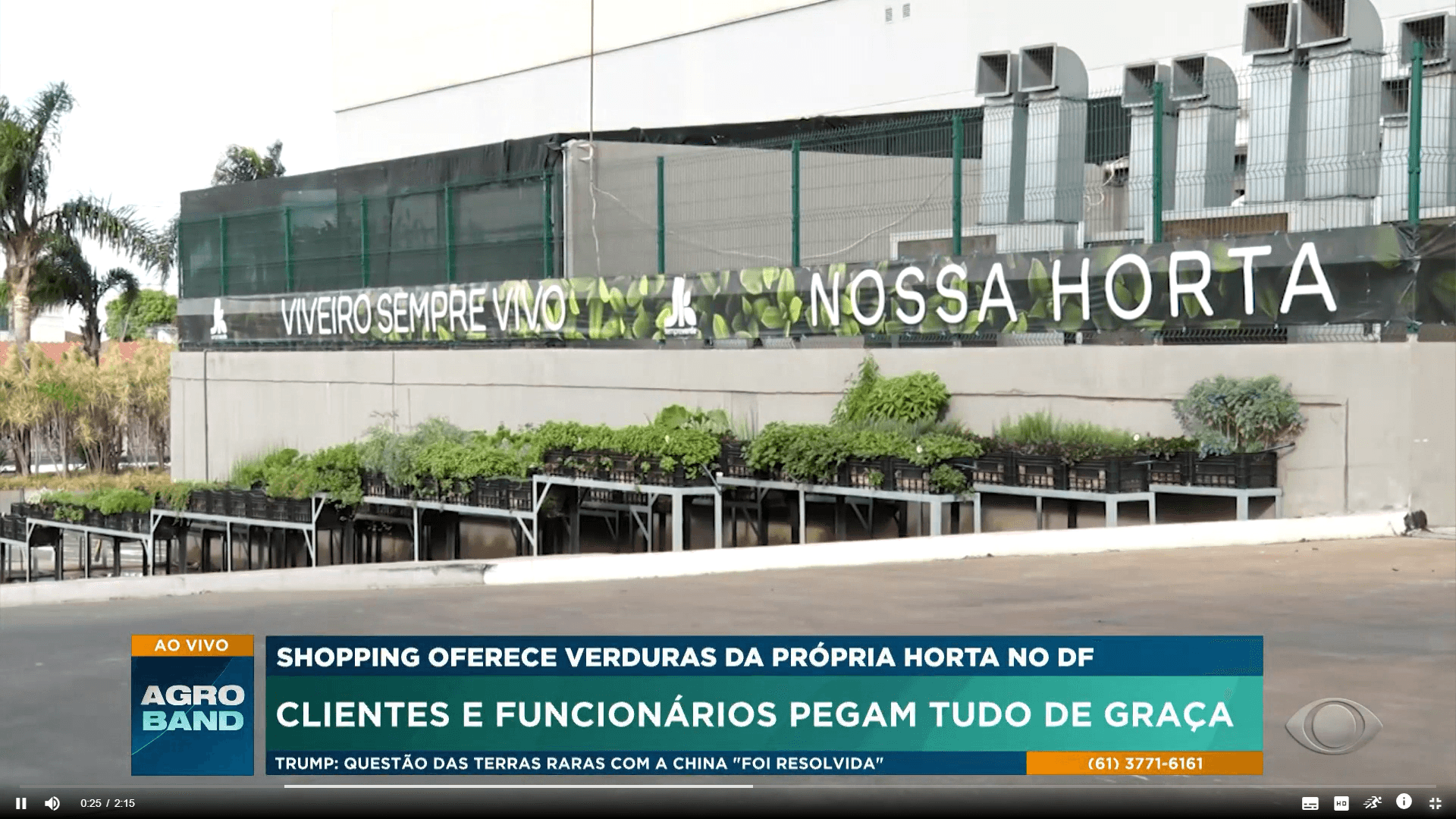 Horta urbana: shopping na capital federal distribui hortaliças e plantas cultivadas em jardim
