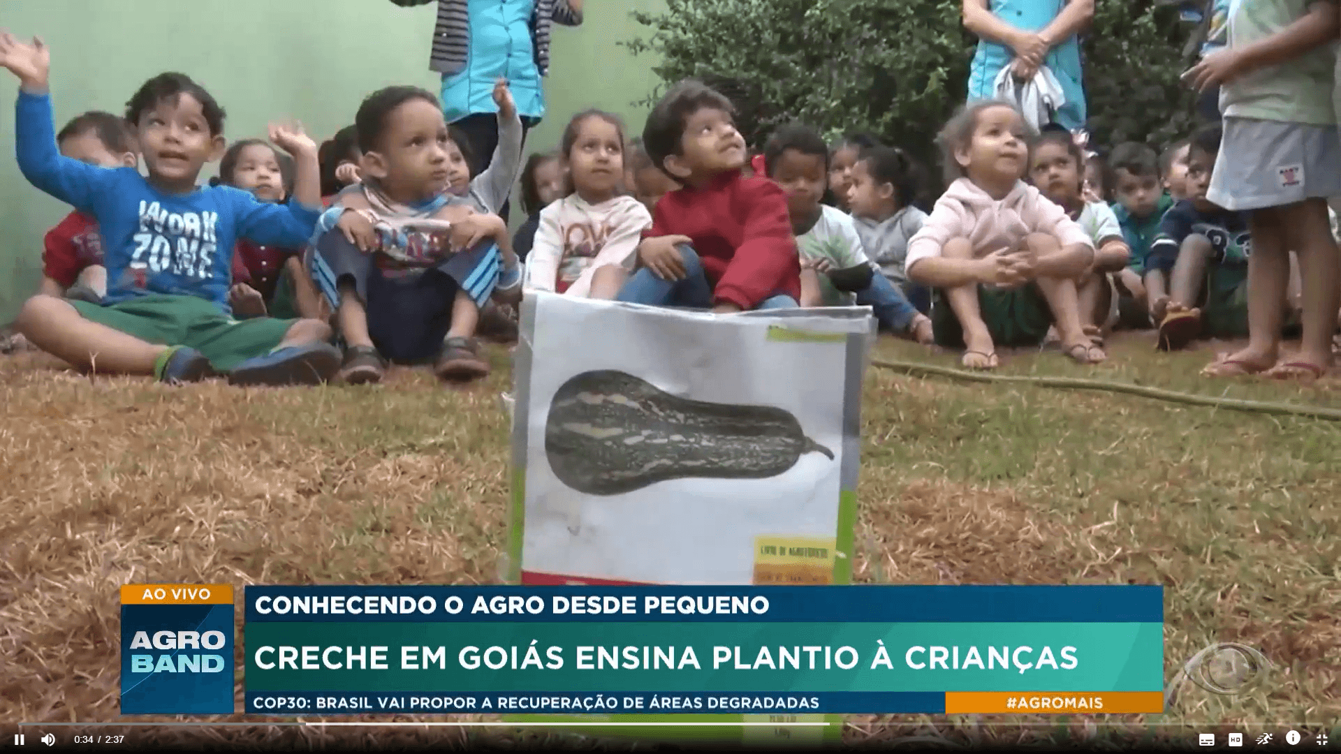 Crianças aprendem a cultivar alimentos na creche para valorizar o agro