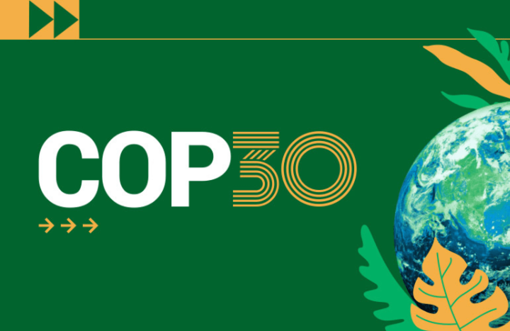 Brasil se prepara para a COP30 com foco em desmatamento e monitoramento ambiental 1