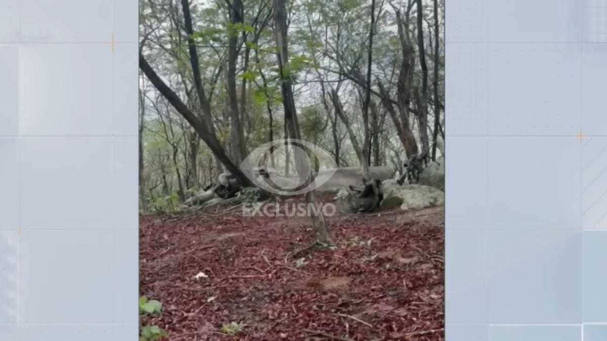 Vídeo: Imagens mostram o início da troca de tiros durante a megaoperação no Rio