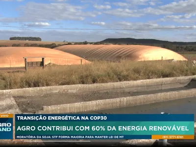COP30: agro produz 60% da energia renovável usada no Brasil