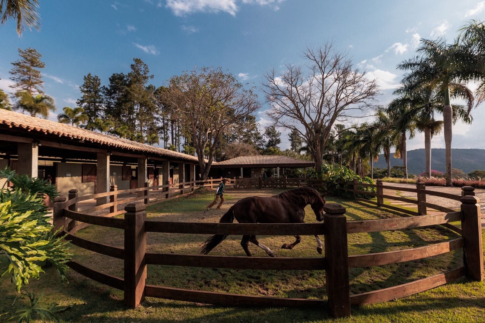 Expansão de condomínios equestres estimula setor imobiliário de luxo