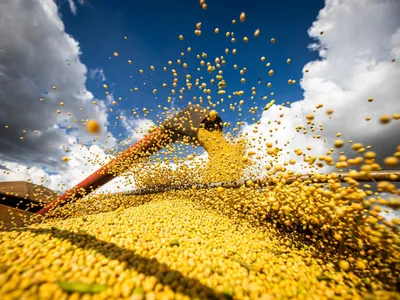 Mato Grosso é responsável por 40% da soja exportada pelo Brasil em 2026