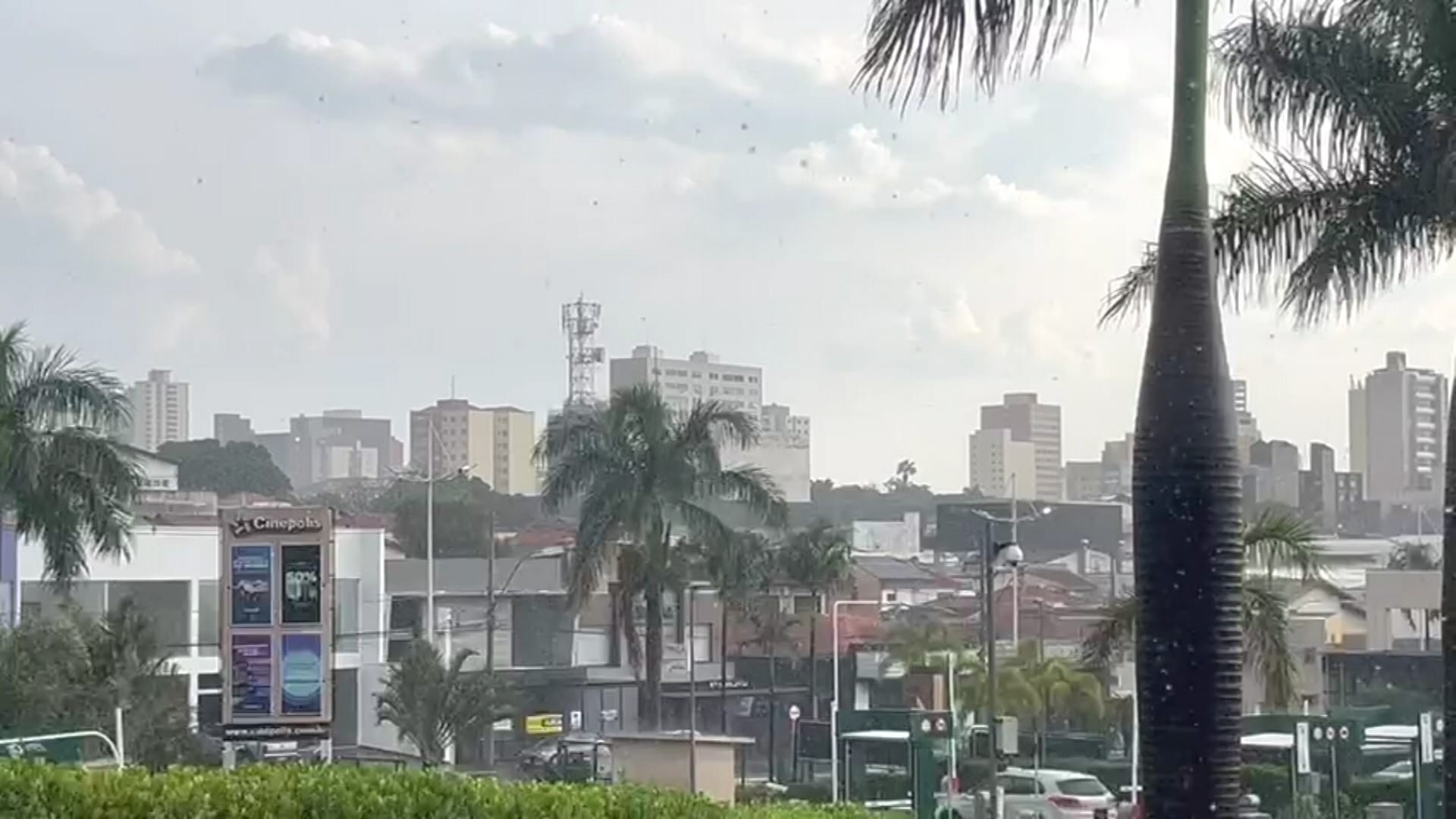 SP pode ter rajadas de vento acima de 100 km/h
