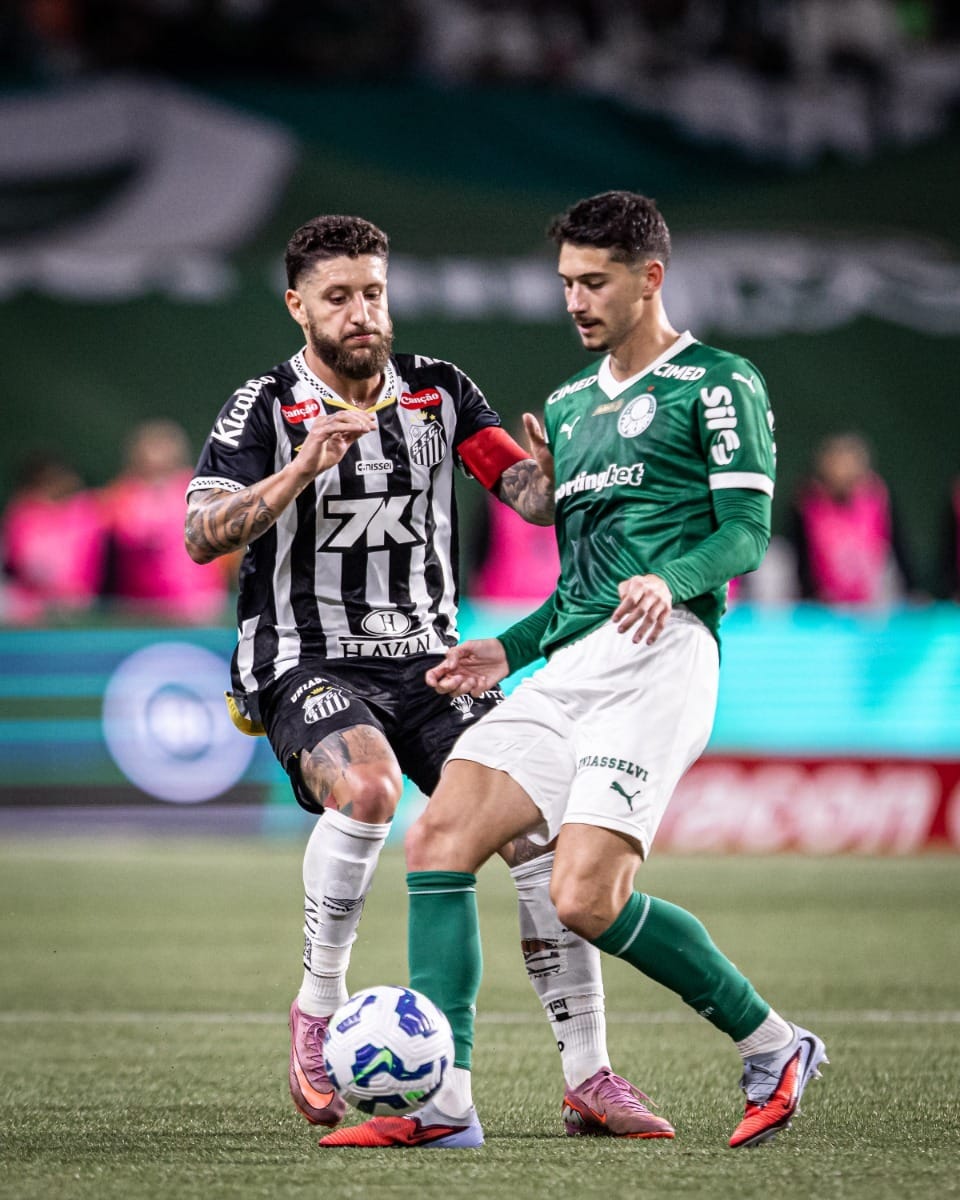Após derrota para o Palmeiras, Santos vê risco de rebaixamento subir para 50%