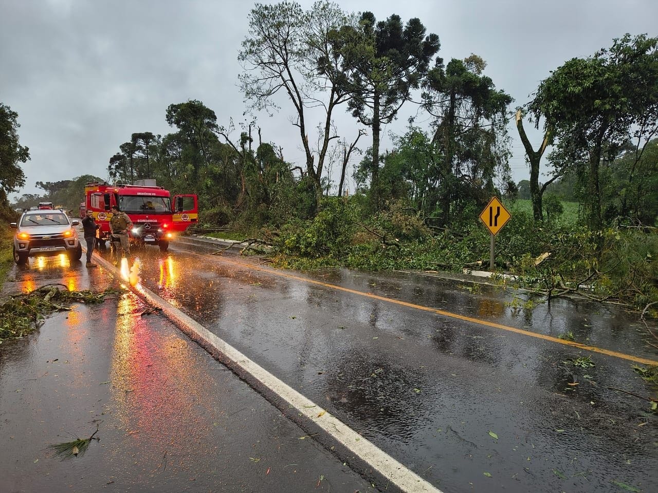 Santa Catarina registra 238 ocorrências após ventos fortes provocados por ciclone extratropical