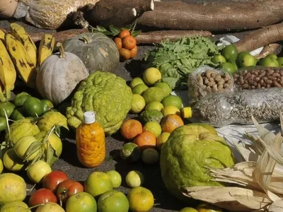 COP30 tem presença inédita de alimentos da agricultura familiar no cardápio