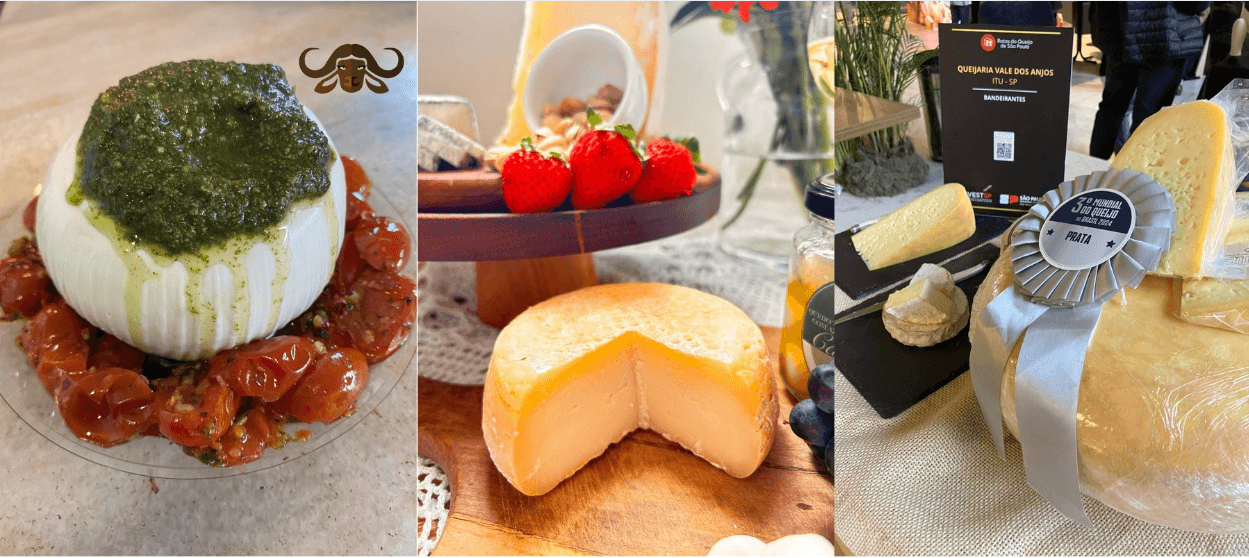Rota do Queijo: 6 produtores artesanais perto de SP para visitar em um bate e volta