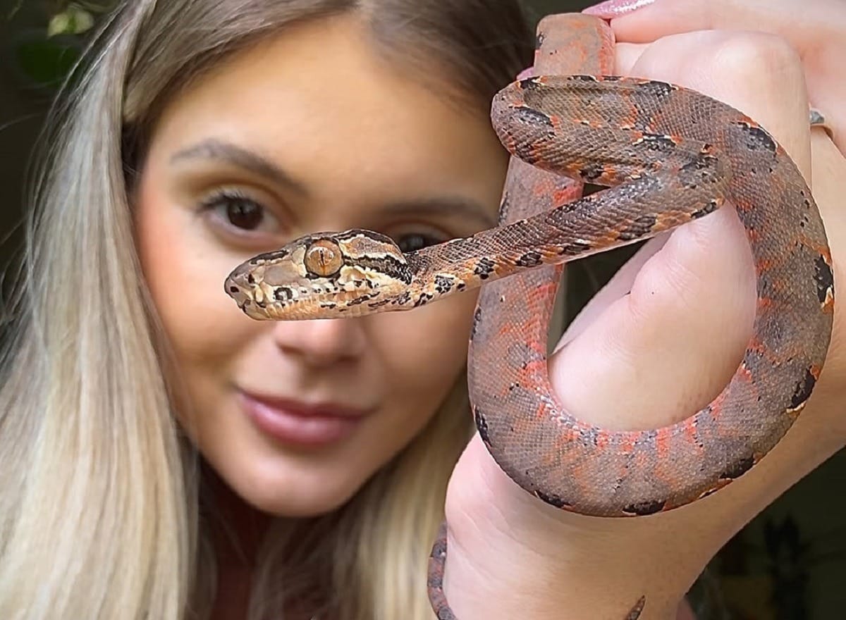 Influencer vive com 5 cobras no quarto: "Nunca tive medo"