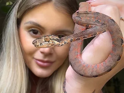 Influencer vive com 5 cobras no quarto: "Nunca tive medo"