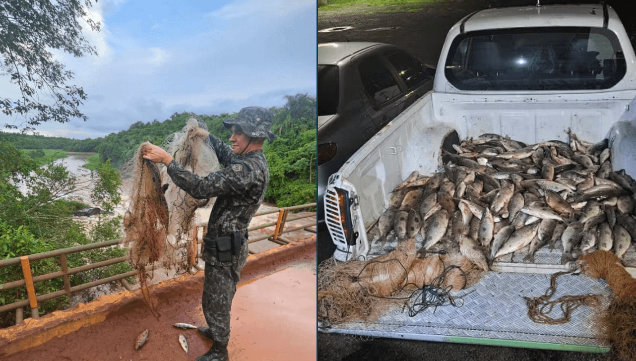 PMA apreende 104 kg de pescado e multa homem durante Operação Piracema
