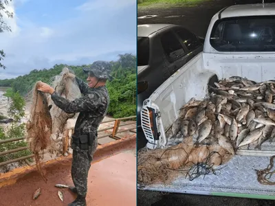 PMA apreende 104 kg de pescado e multa homem durante Operação Piracema