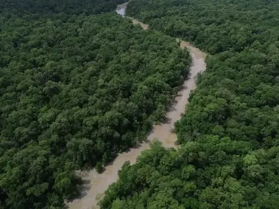 Influência de facções cresce e atingi quase 50% na Amazônia Legal