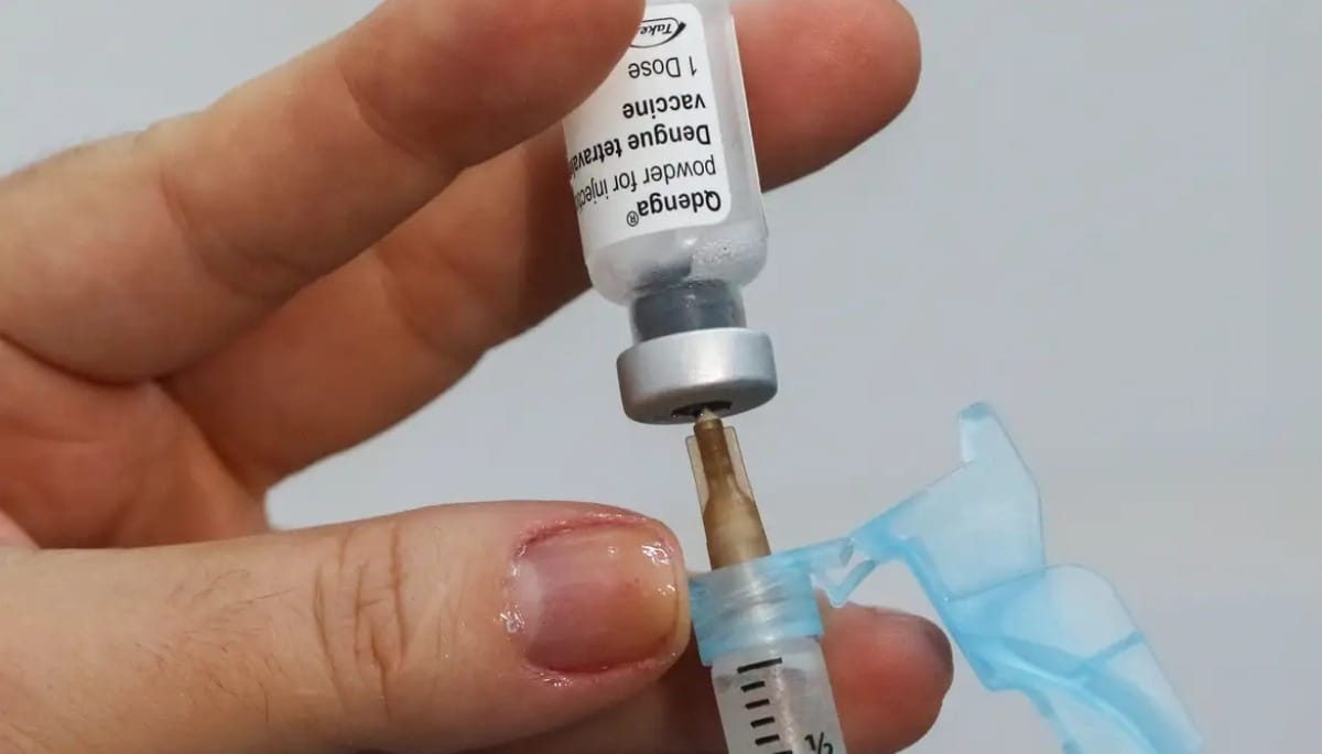 Vacina da dengue é gratuita? Idoso pode tomar? Veja dúvidas