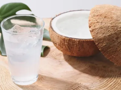 O que levar para comer na praia? Veja dicas para evitar intoxicação