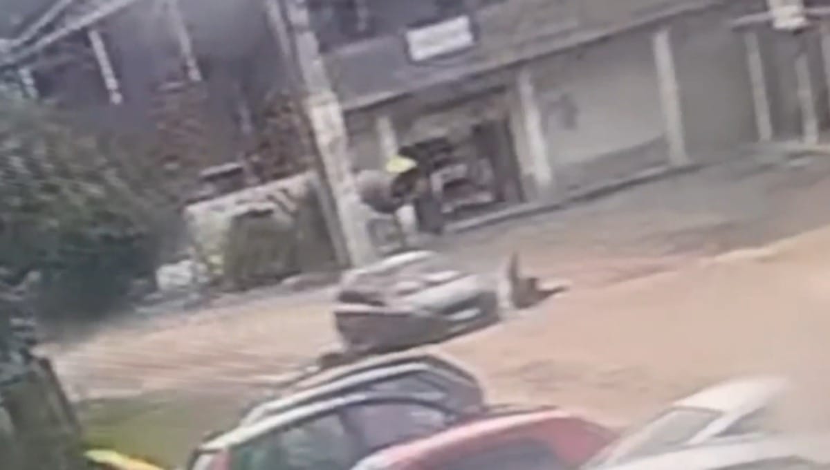 Tiros em Peruíbe, atropelamento em Cotia: brigas de trânsito geram tragédias