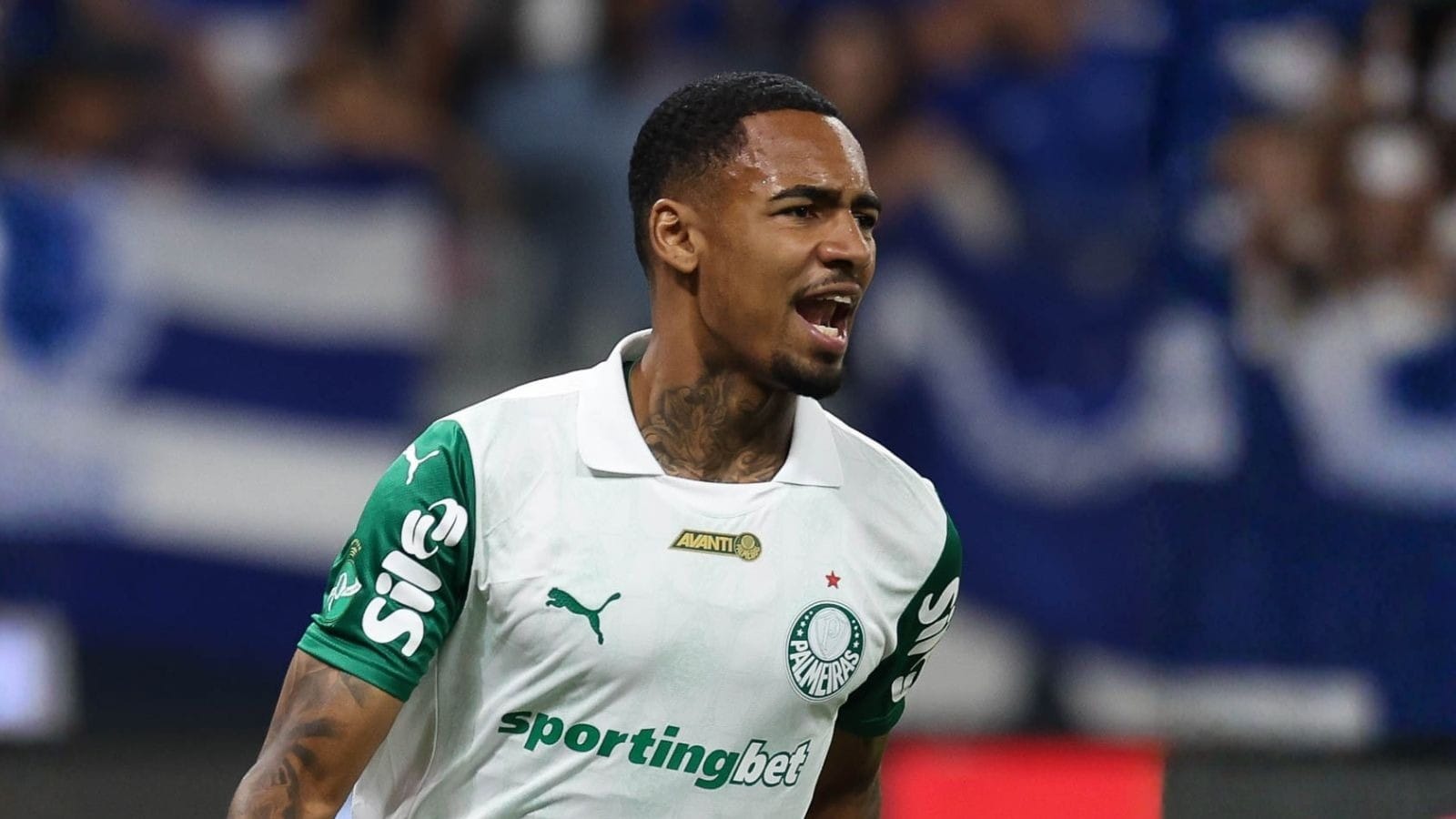 Allan, do Palmeiras, comenta final da Libertadores: “Realização de um sonho”