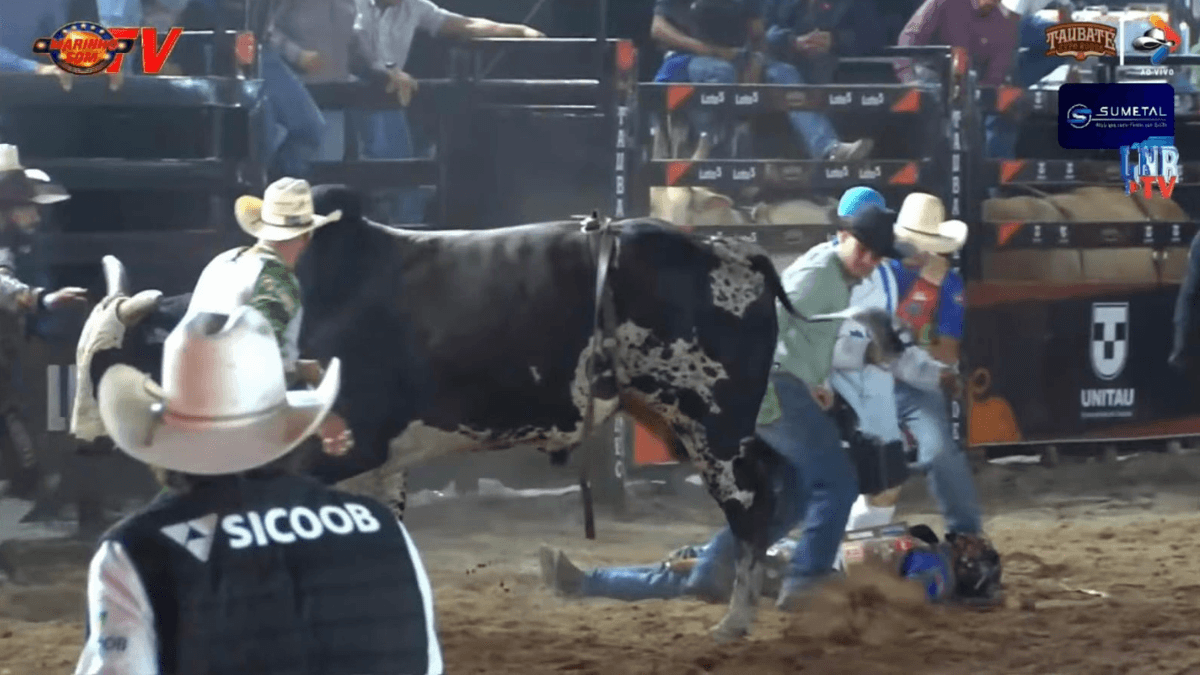 Reprodução: Marinho Som / Cowboys Plus