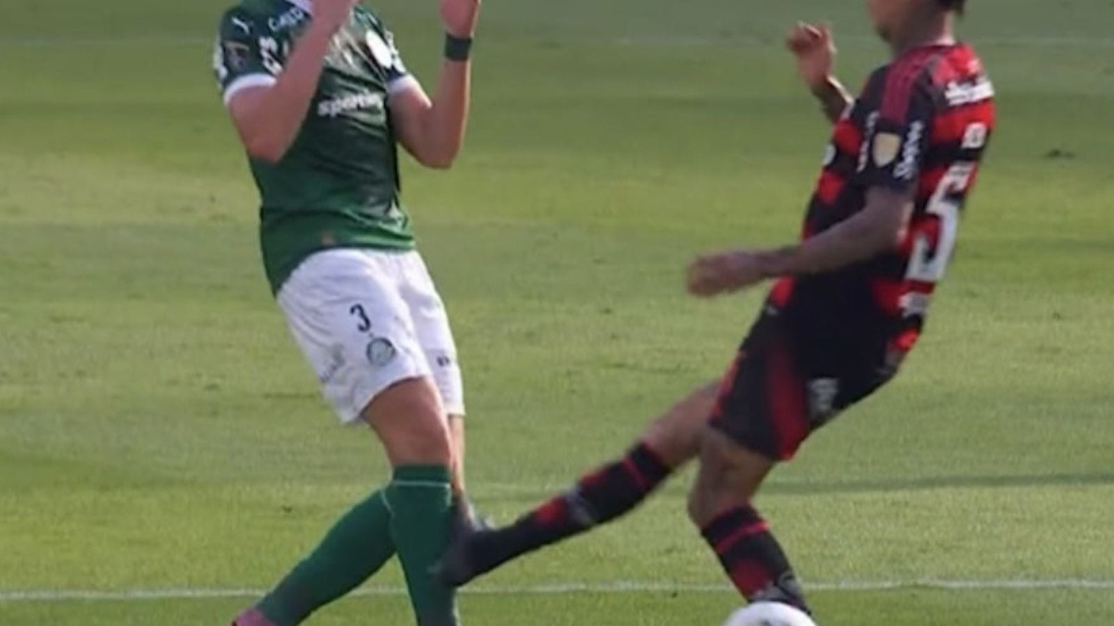 Godoi diz que Pulgar e Veiga deveriam ter sido expulsos na final da Libertadores