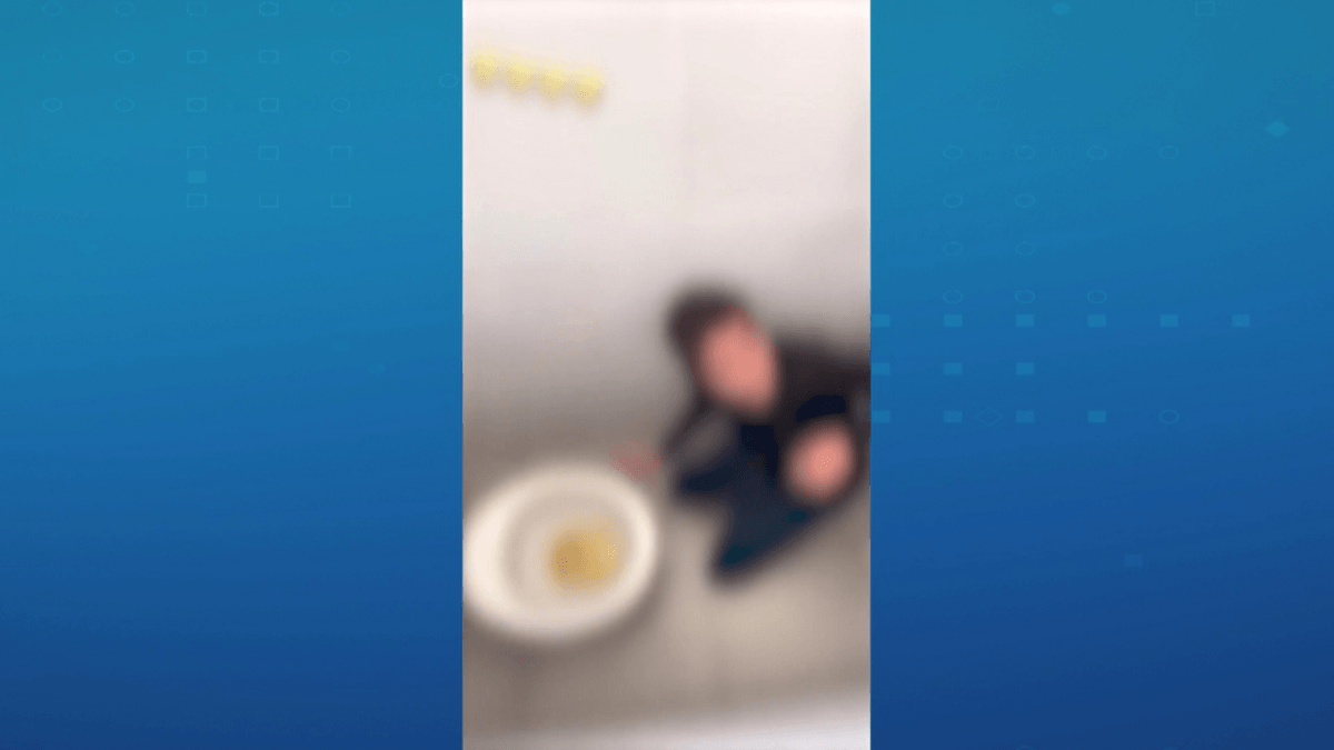 Aluno sofre bullying e é forçado a beber urina em escola de Minas Gerais