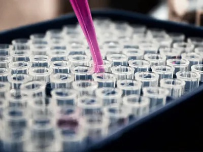 Kieling: Cientistas criam miniórgãos humanos para testar medicamentos