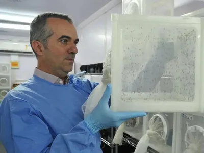 Quem é Luciano Moreira, pesquisador que criou do “Método Wolbachia"