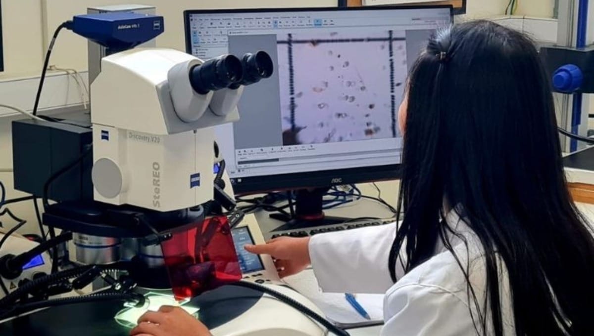 Microplásticos elevam risco cardiovascular e são emergência ambiental