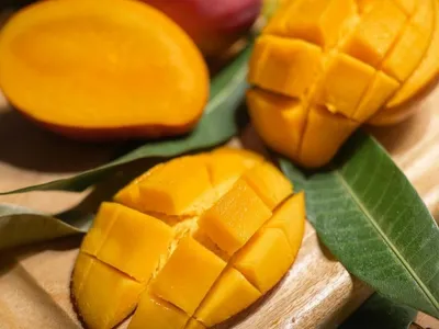 Manga de cemitério: No Acre, crença popular diz que fruta é mais doce