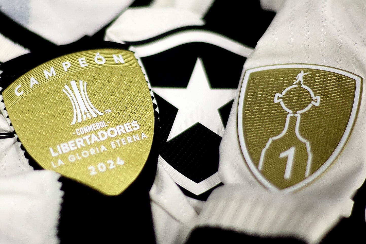 Nacional Potosí x Botafogo na Pré-Libertadores: siga o tempo real