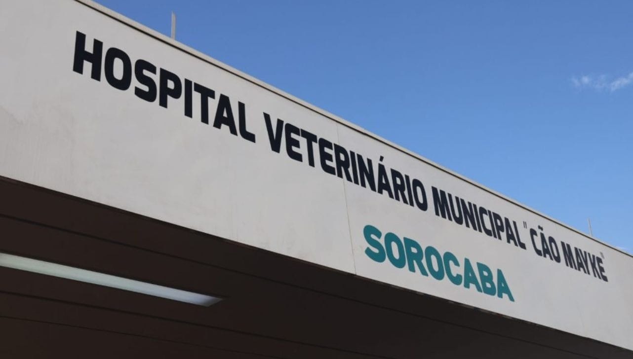 Hospital Veterinário de Sorocaba funciona para urgência e emergência