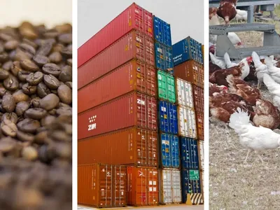 Retrospectiva 2025: preço do café, tarifaço e gripe aviária são destaques