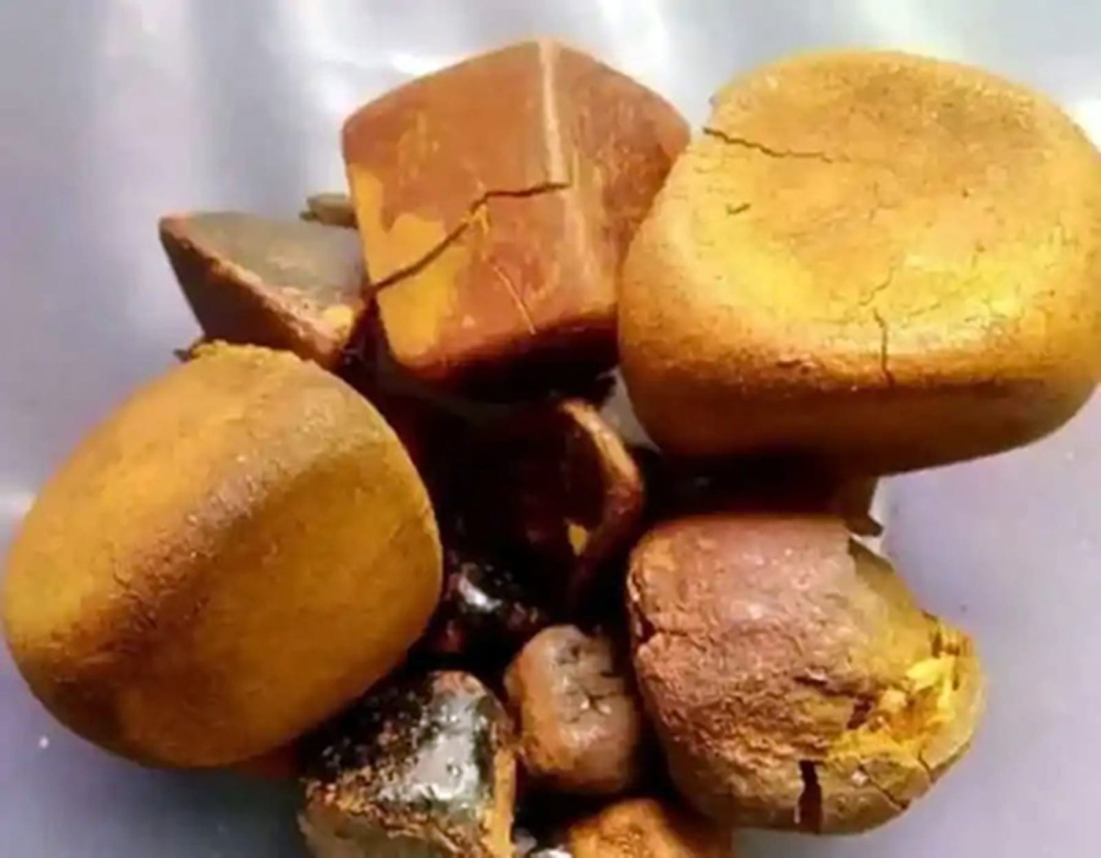 Pedra de fel: item do boi chega a R$ 1 mi e supera ouro e Wagyu