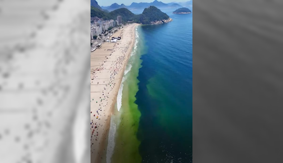Cardumes provocam manchas escuras no mar de praias da Zona Sul do Rio