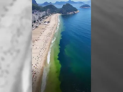 Cardumes provocam manchas escuras no mar de praias da Zona Sul do Rio