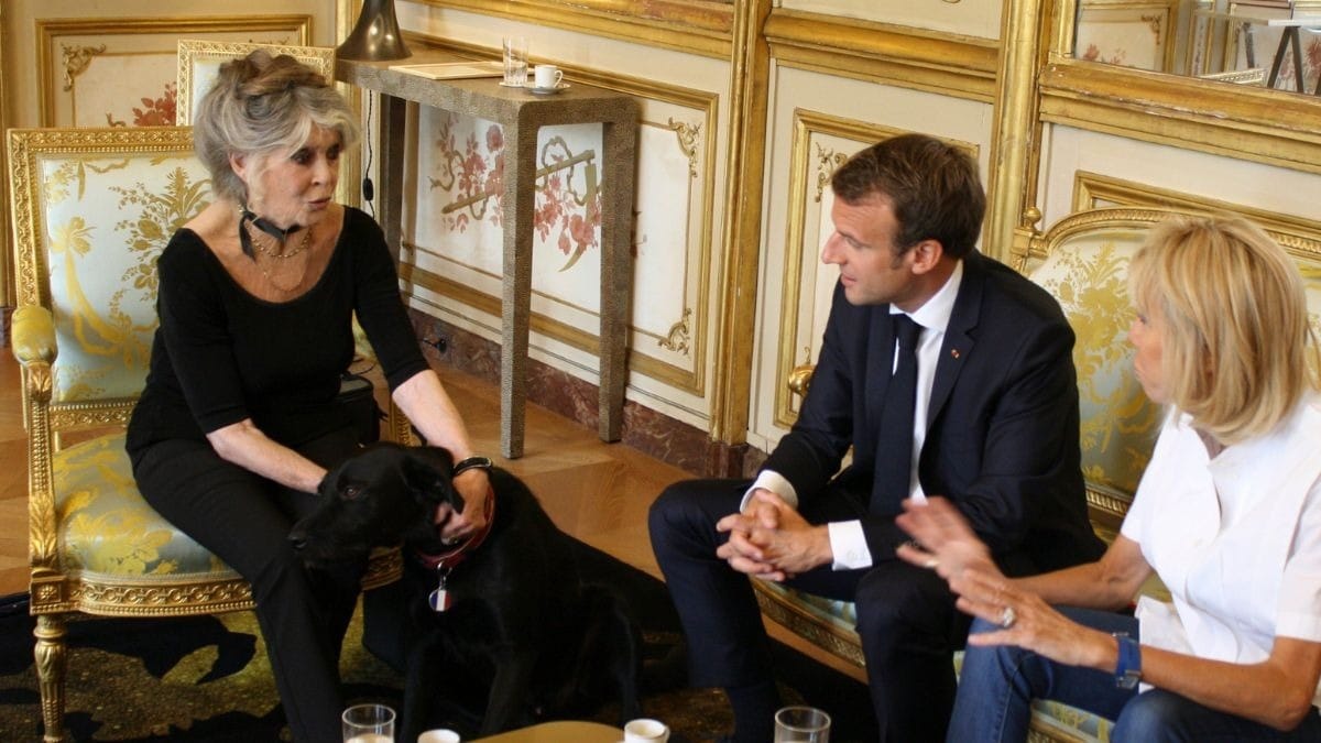 Macron lamenta morte de Brigitte Bardot: ‘Personificava vida de liberdade’