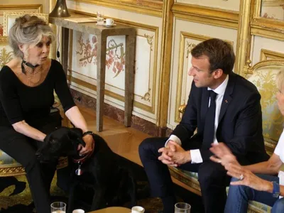 Macron lamenta morte de Brigitte Bardot: ‘Personificava vida de liberdade’