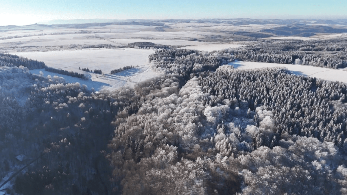 Onda de frio extremo mata dezenas na Europa e causa caos no transporte
