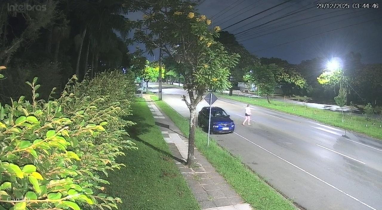 Imagens mostram mulher vandalizando mudas em avenida de Curitiba