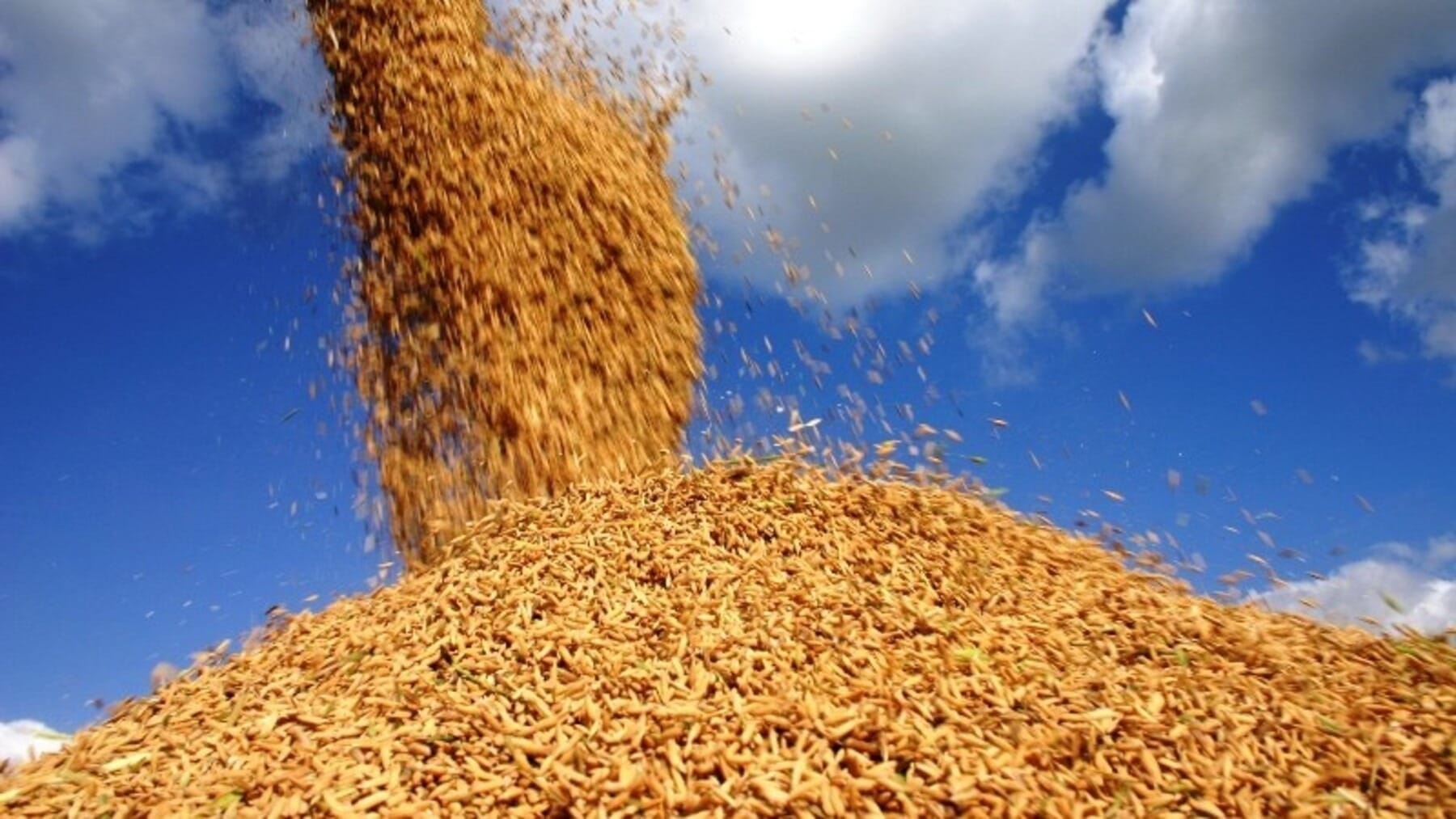 Venezuela depende do agro brasileiro para garantir alimentação aos cidadãos