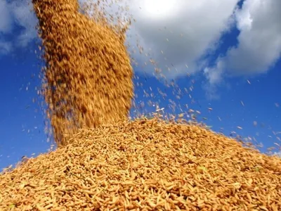 Venezuela depende do agro brasileiro para garantir alimentação aos cidadãos