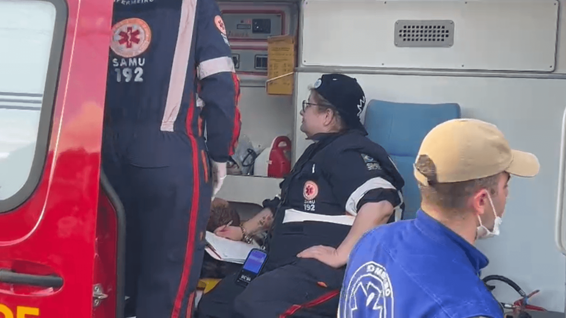 Ataque de abelhas deixa três pessoas feridas em Ponta Grossa