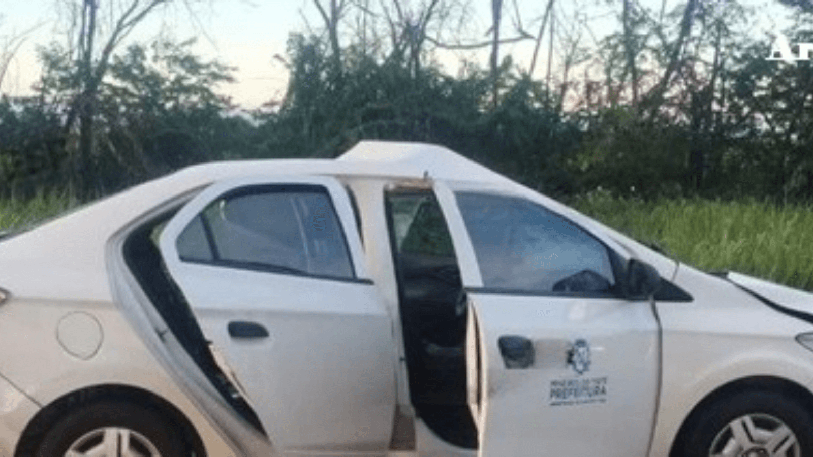 Cavalo solto na pista provoca acidente com veículo em Mineiros do Tietê