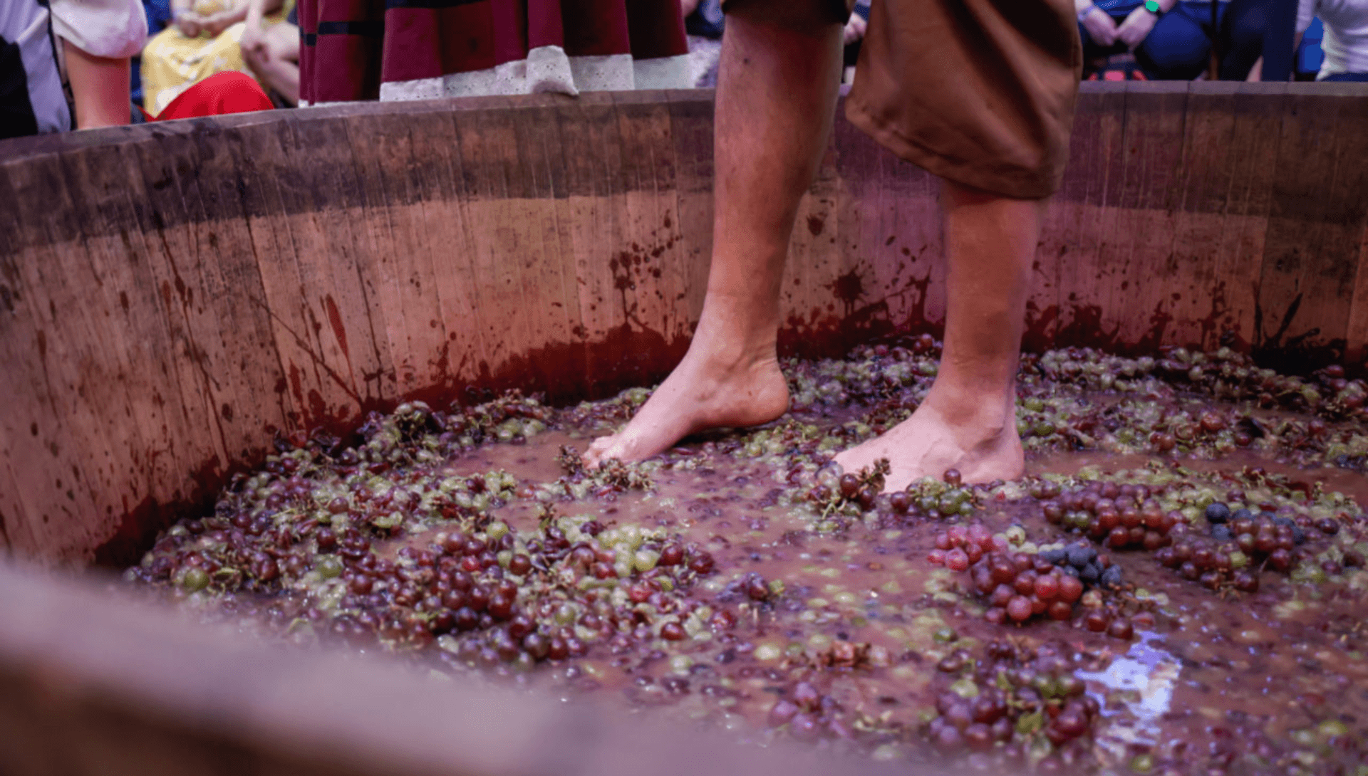 Festa da Uva e Expo Vinhos agitam Jundiaí a partir da próxima quinta (15)
