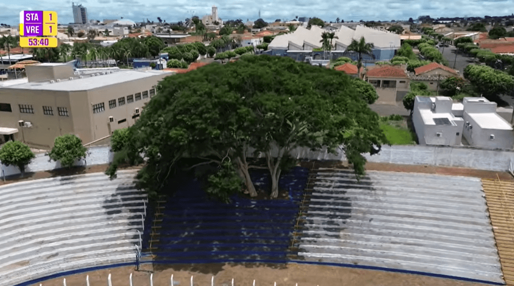 Entenda por que estádio da Copinha tem árvores no meio da arquibancada