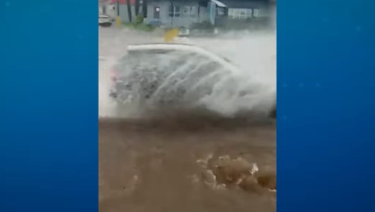 Fortes chuvas atingem São Paulo com granizo e quedas de árvores