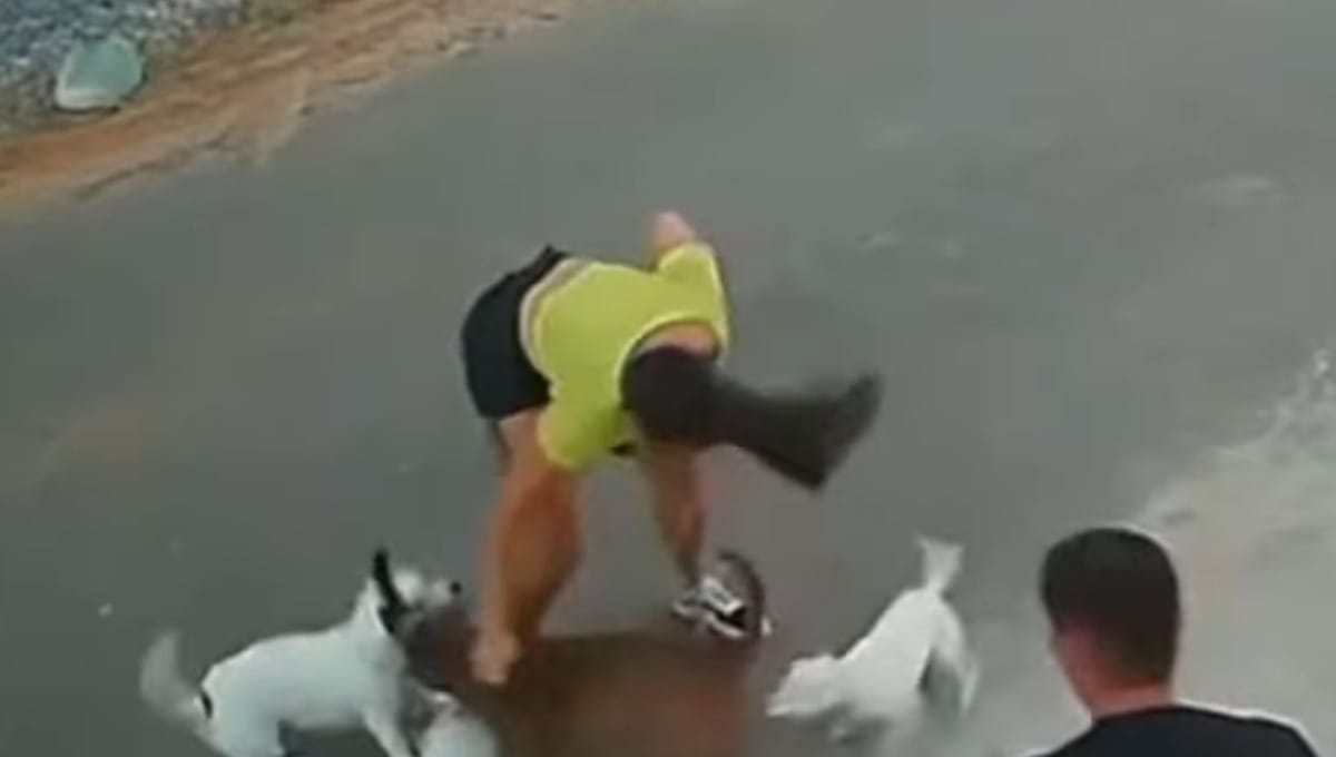 Passeadora é mordida por pitbull e agredida pelo dono do animal no Ceará